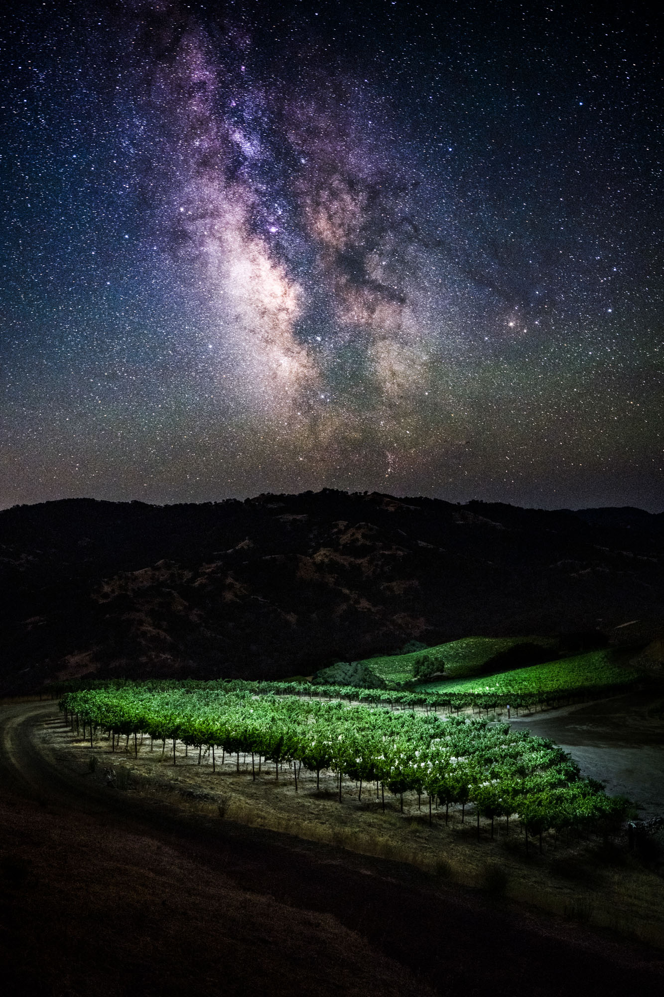 Rockpile Vineyards | Sonoma County, California