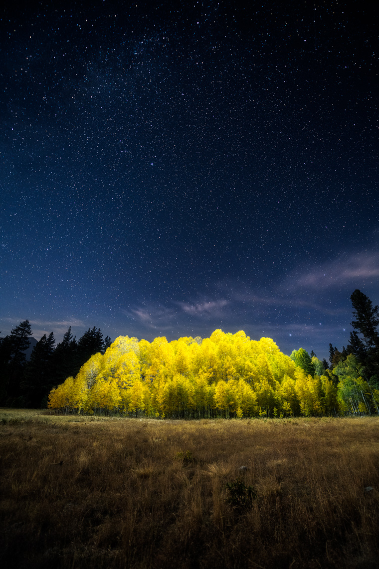 Night Sky - Aspen Grove - South Lake Tahoe, California