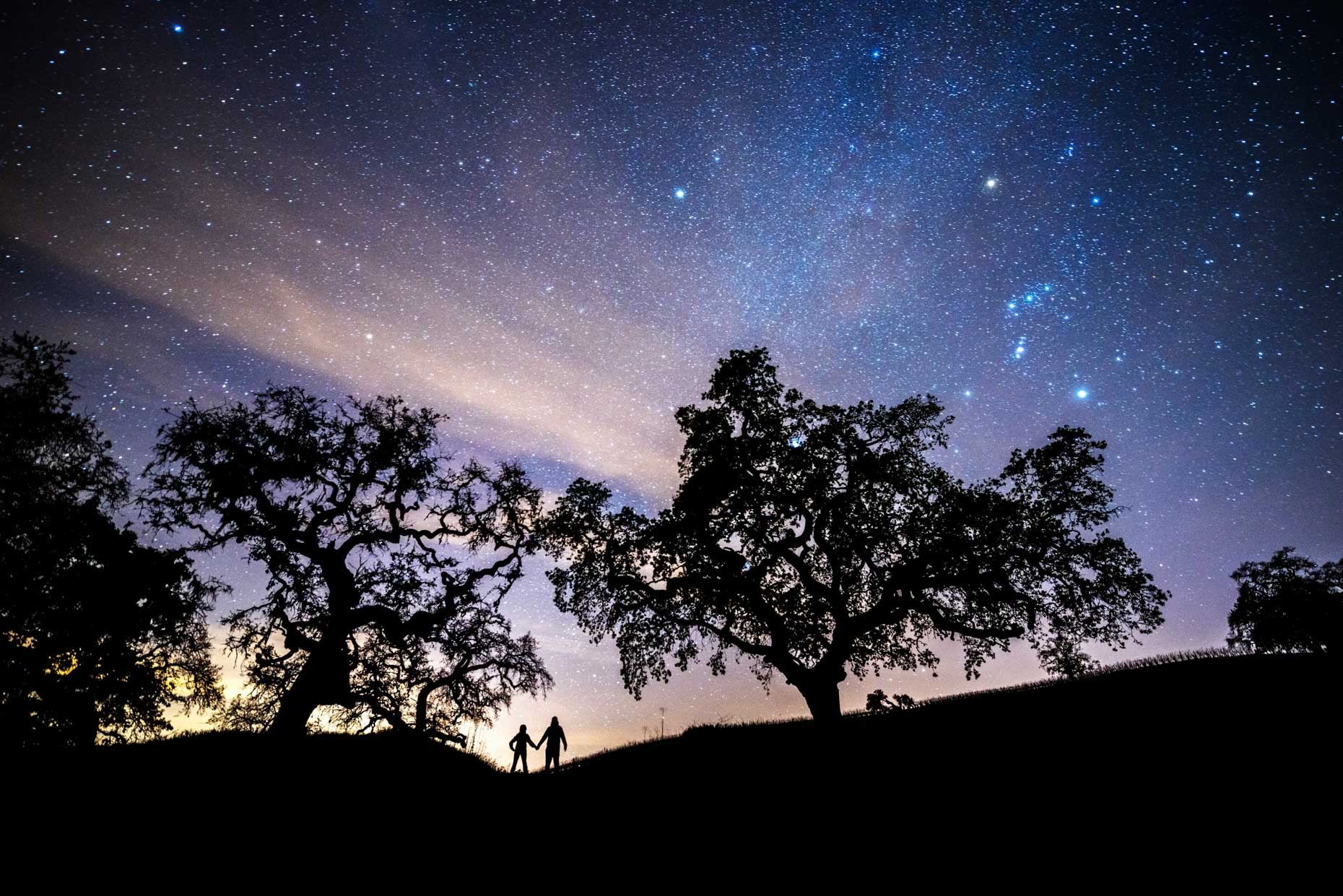 Under Orion | Alexander Valley, California