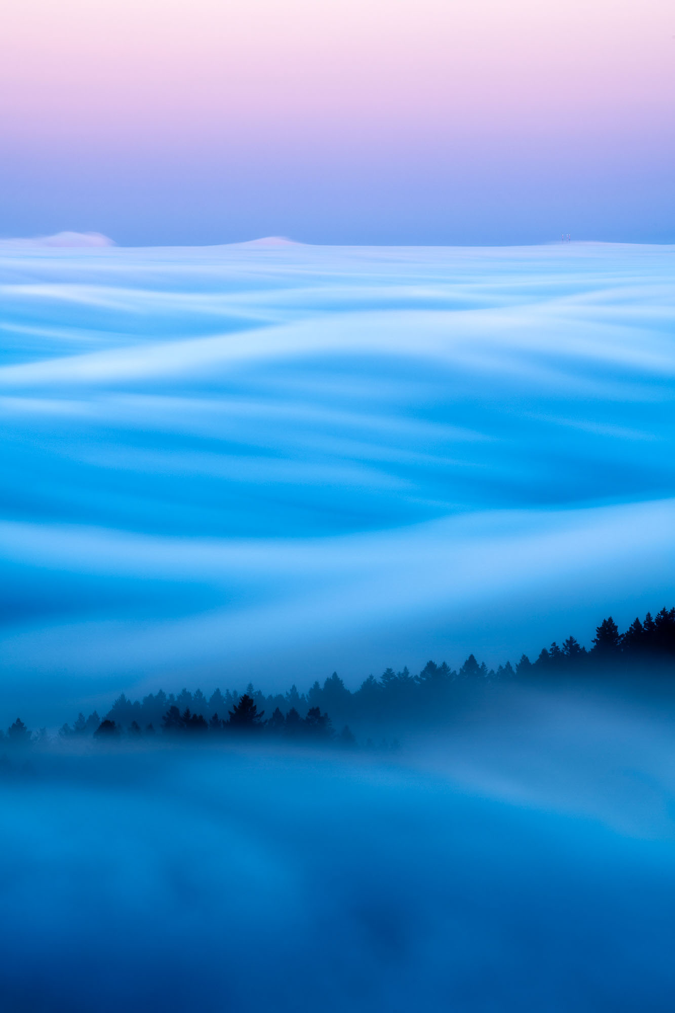 Mount Tamalpais Fog | Marin County, California