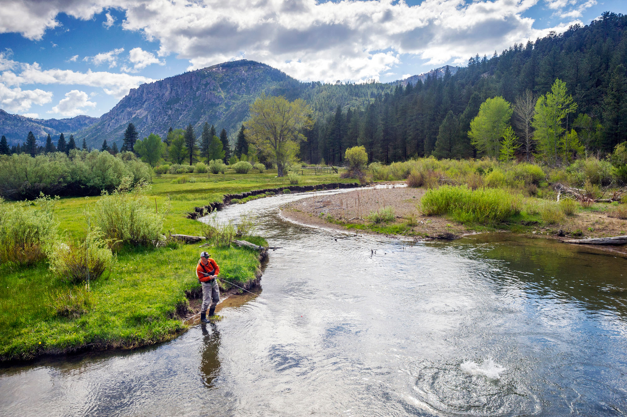 Fly Fishing | Pleasant Valley, California