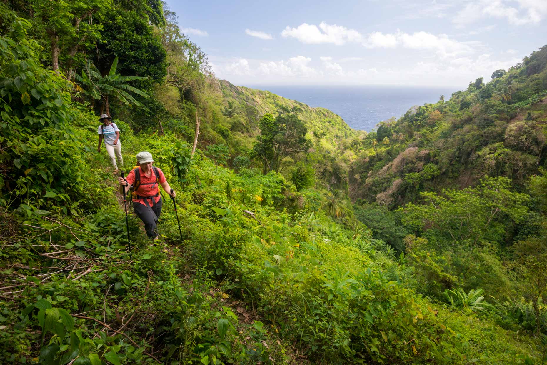 Waitukubuli National Trail - Dominica